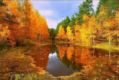 Мастер-класс «Озеро» картина в технике масло