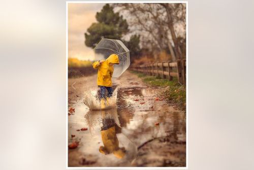 Вместе с Татьяной Савич рисуем акрилом Дождливую осень - мастер-класс!
