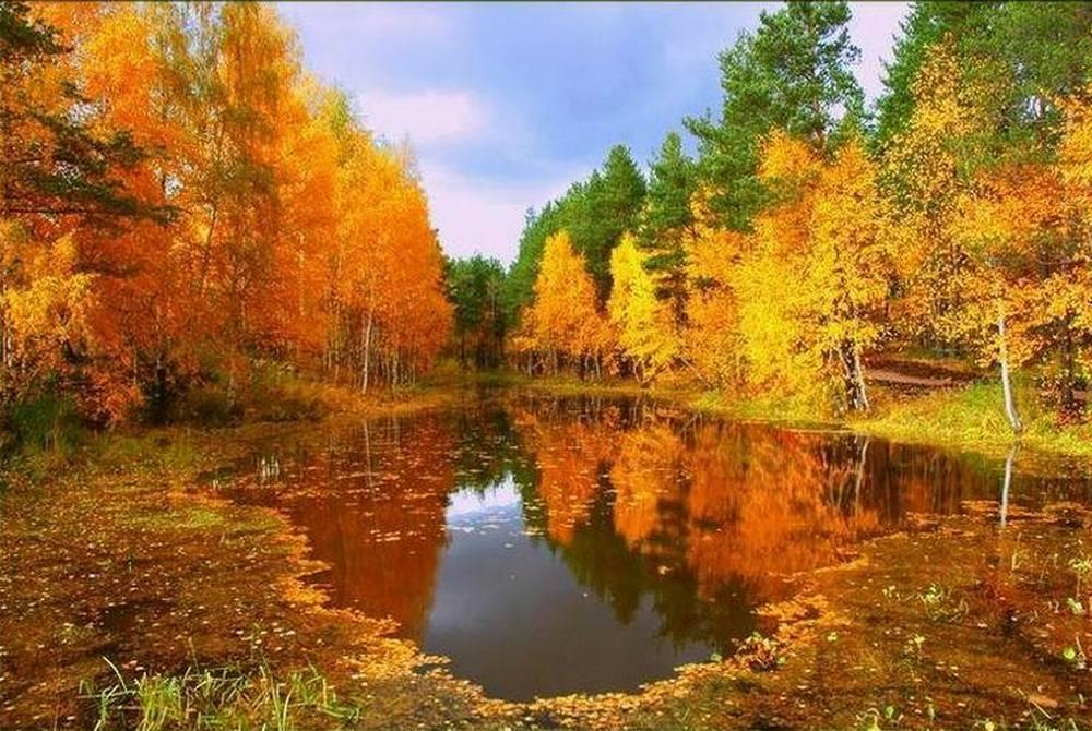 Мастер-класс «Озеро» картина в технике масло
